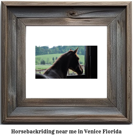 horseback riding near me in Venice, Florida